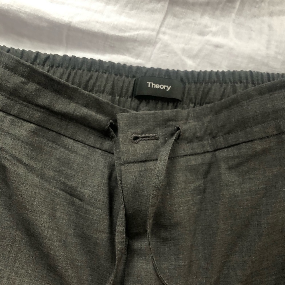 Theory - Curtis drawstring pants. High end pants.